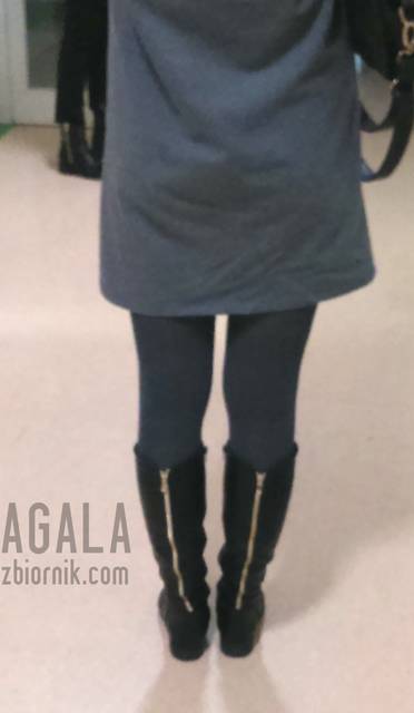 DSC0815v.jpg - AGALA