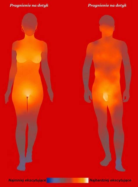 Złoty środek - Dannielo