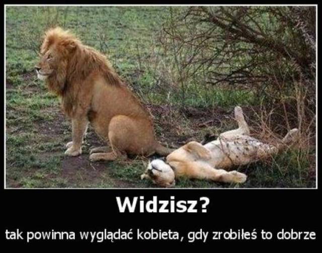 :)))) - wodnik50