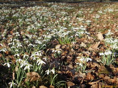 Prawda,że piękne ?