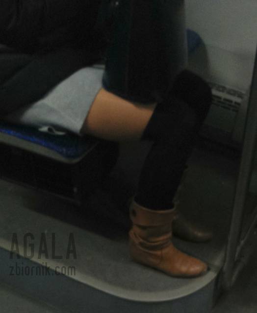 DSC_08290odj.jpg - AGALA