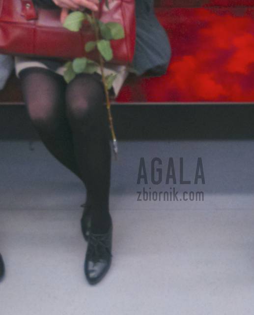 DSC_0876cz.jpg - AGALA