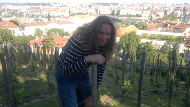 1 248.jpg - WIELKIANDRE