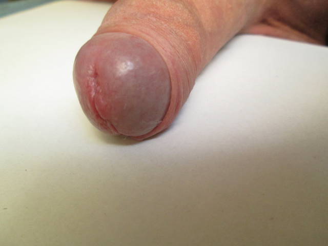 Obraz 037.jpg - sporto88