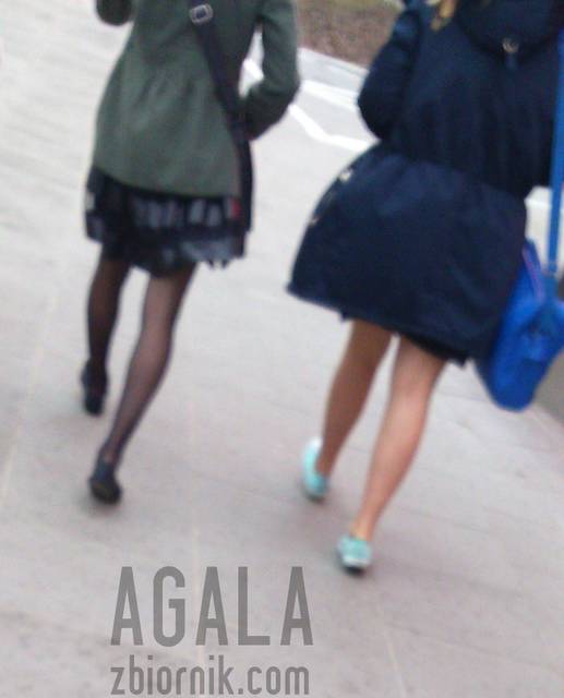 DSC_896kl.jpg - AGALA