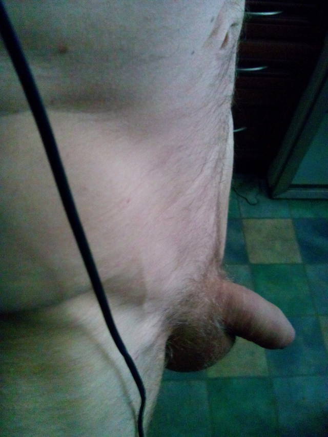 kochanek_dzis