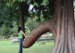 ciężar kobiety jest czasem przeszkodą.JPG