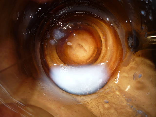 P1010562.JPG - radek2424