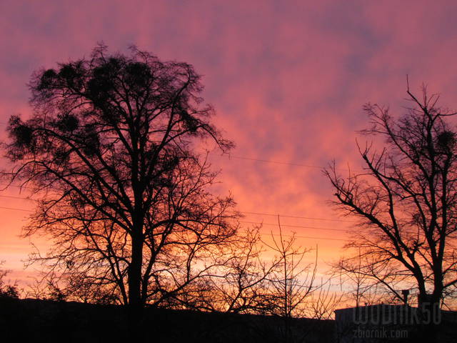 dzisiejszy ..poranek - wodnik50