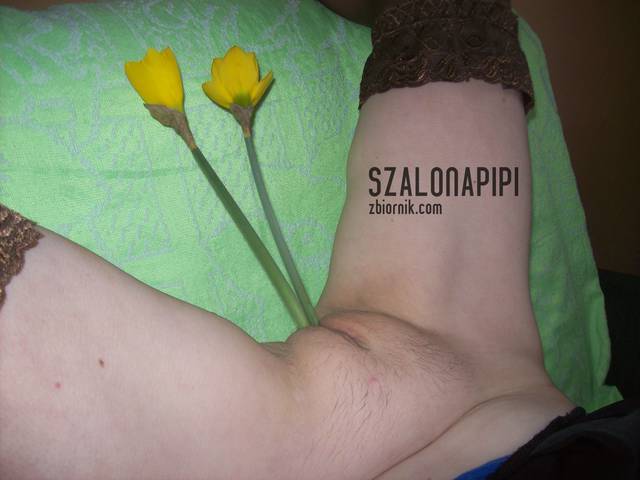 100_1586.JPG - szalonapipi