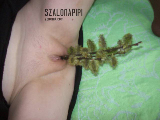 100_1595.JPG - szalonapipi