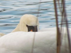 już nie brzydkie......