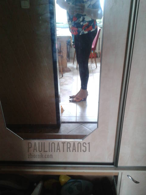 2015-04-08 13.44.09.jpg - paulinatrans1