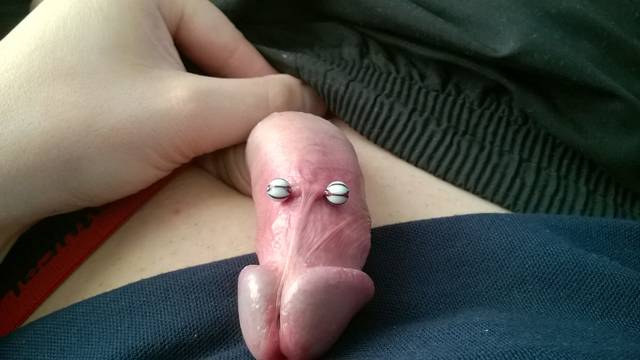 WP_20150424_16_43_45_Pro.jpg - pspiter