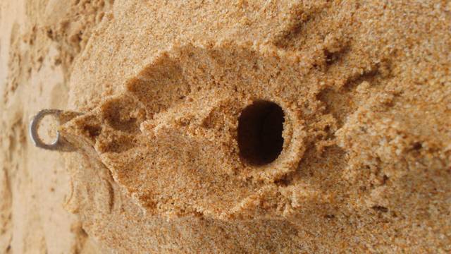 piaskowa ci puszka - demony666