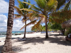 DSC00215.JPG