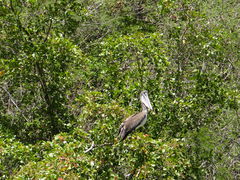 DSC00582.JPG