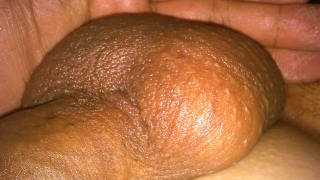 DSC_0036.JPG - swistt