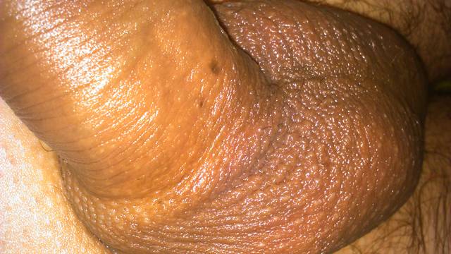 DSC_0021.JPG - swistt