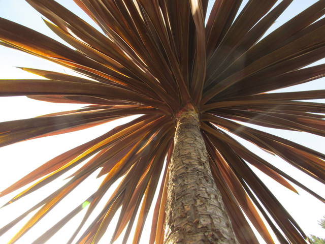 brakuje tylko..... - wodnik50