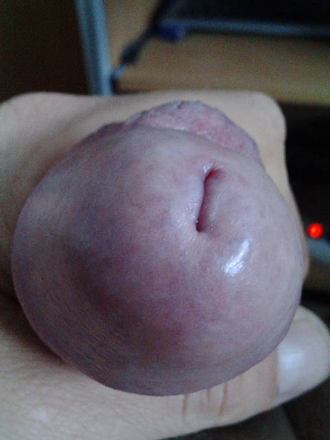 IMG_20150501_113037.jpg - lizalek73