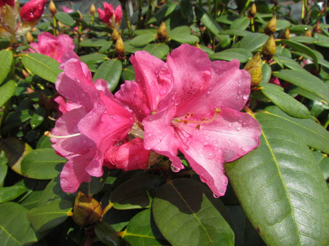 a po.......:)) - wodnik50