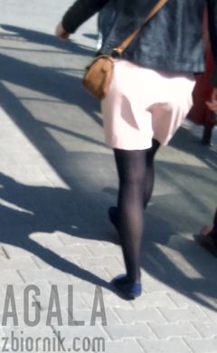DSC_1087cz.jpg