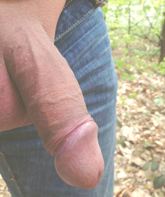 IMG_2368.JPG - samael72