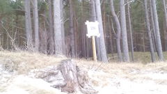 Znajome wejście w Dębkach