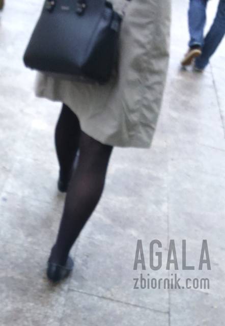 DSC_1154cz.jpg - AGALA