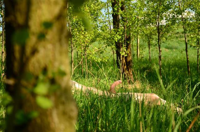 pol7.JPG - Ssojeczka