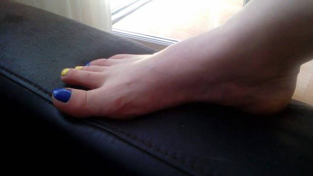 11245437_450055461835365_1830271035_n.jpg - waldik1313