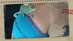 Uwielbiam biust mojej Pani