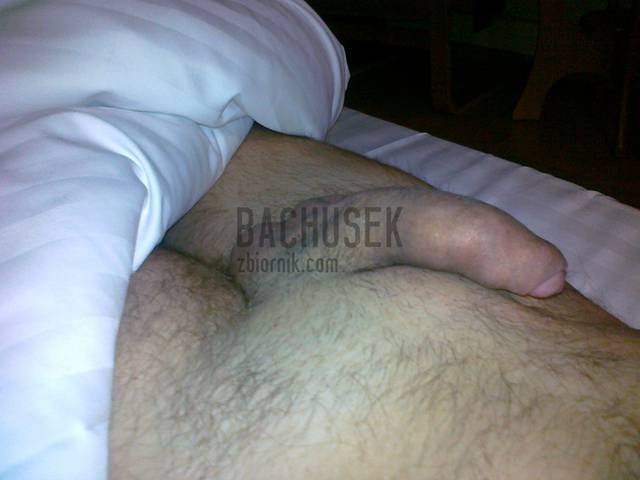 11052015486.jpg - Bachusek