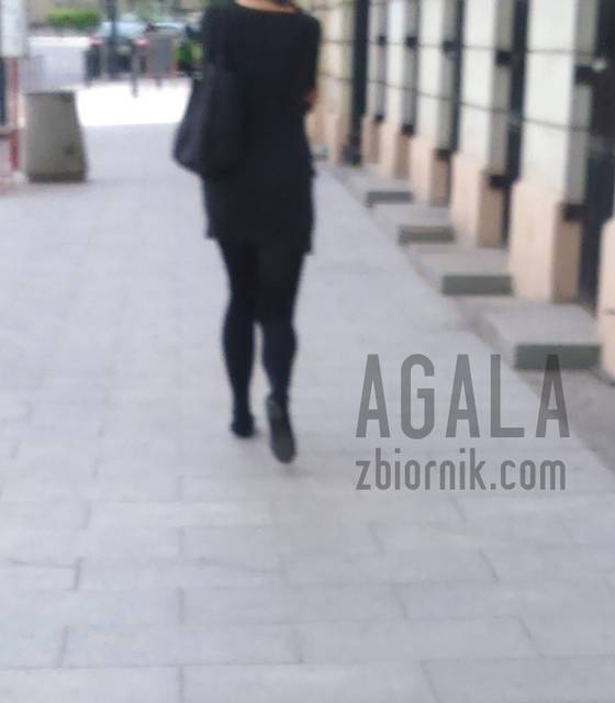 DSC_1403cz.jpg - AGALA
