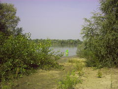 PIC01349.JPG