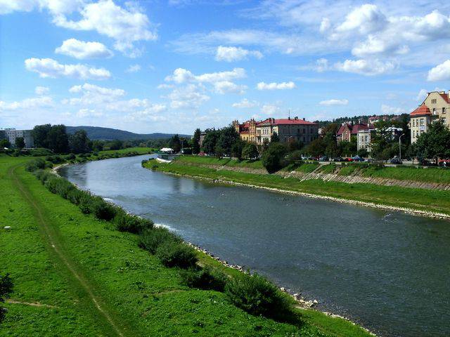 san - Tygrys_i_Kociaki