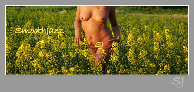 maj w żółcienach - Smoothjazz