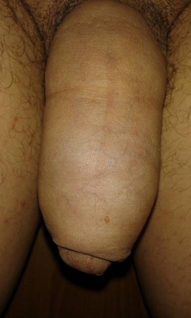 20150525_113824.jpg - cobra575n