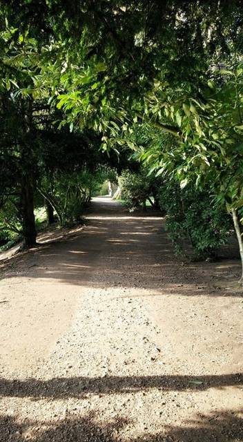 ścieżka do..... - wodnik50