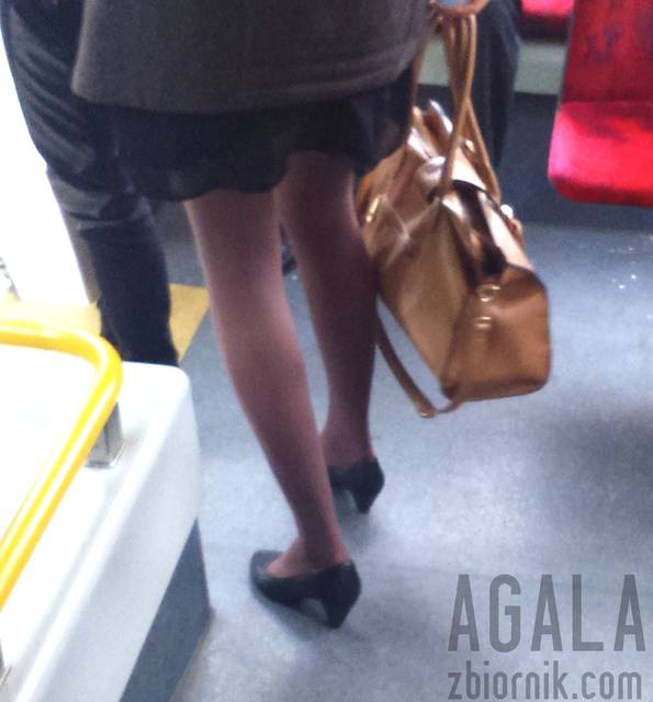 DSC_1488v.jpg - AGALA