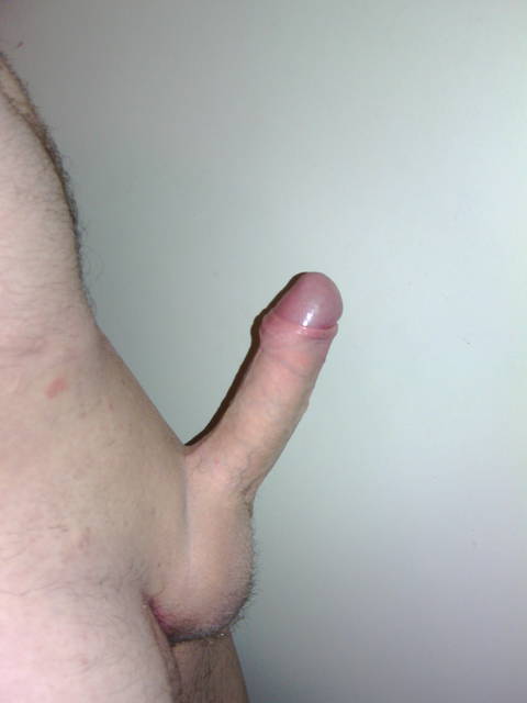 2015-04-08_22.03.51.jpg - elvis1112