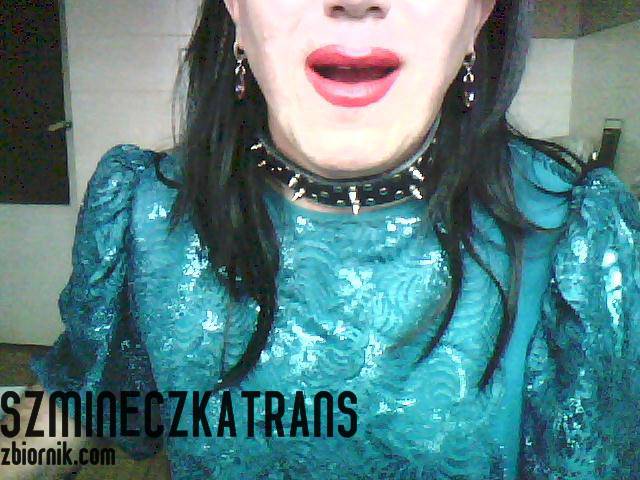 obroża i kolczyki - szmineczkatrans