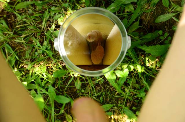 DSC_2378.JPG - Ssojeczka