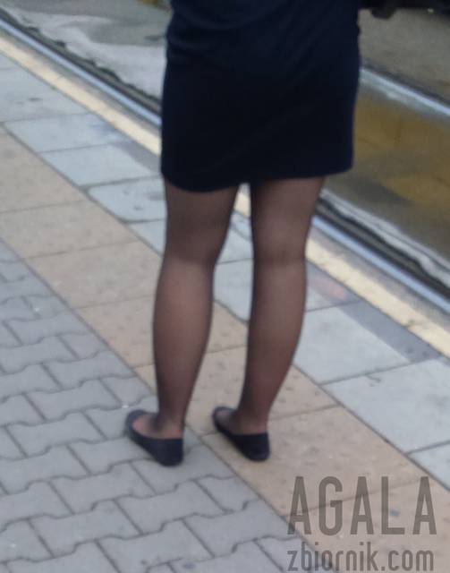 DSC_1679cz.jpg - AGALA