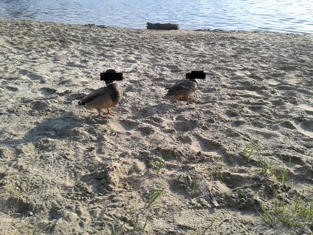 20150513_183227.jpg - cieplulubni