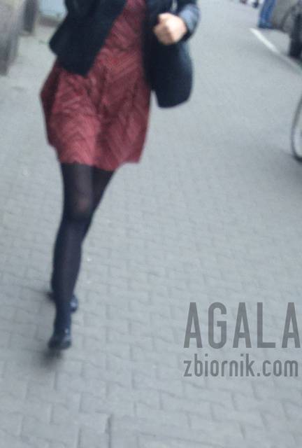 DSC_1730cz.jpg - AGALA