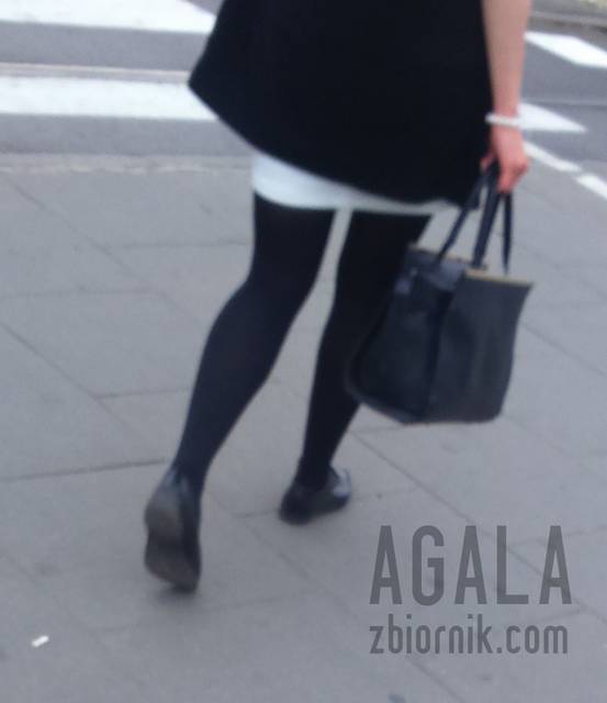 DSC_1732cz.jpg - AGALA
