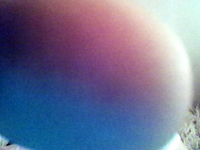 webcam-toy-foto1.jpg - otwarty9434