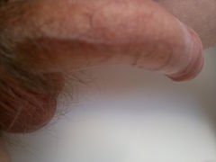 w wyczekiwaniu na sprytny jezyczek